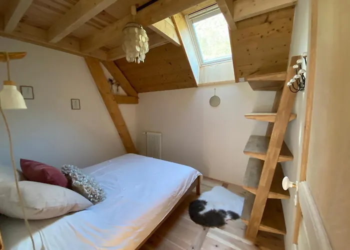 De Montagne Aragnouet