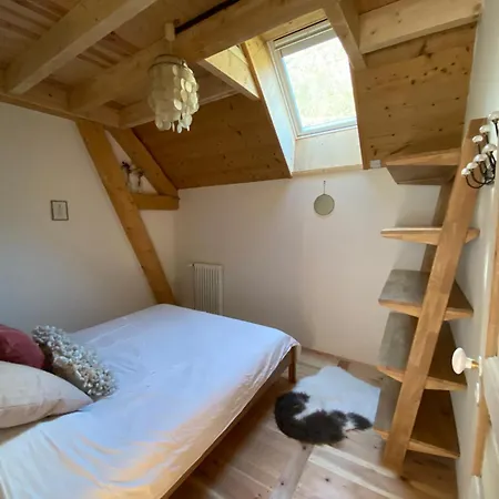 De Montagne Aragnouet